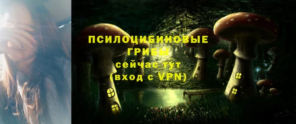 ПСИЛОЦИБИНОВЫЕ ГРИБЫ Алзамай