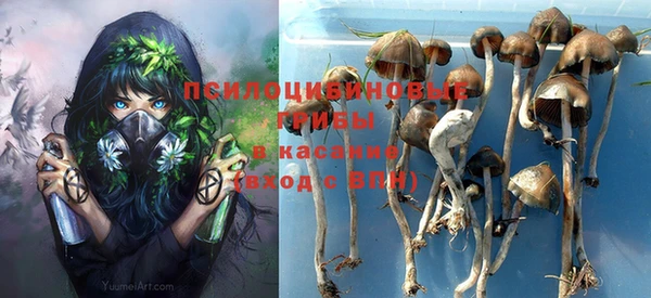 спайс Алексин