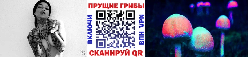 Псилоцибиновые грибы мицелий  где найти   Палласовка 